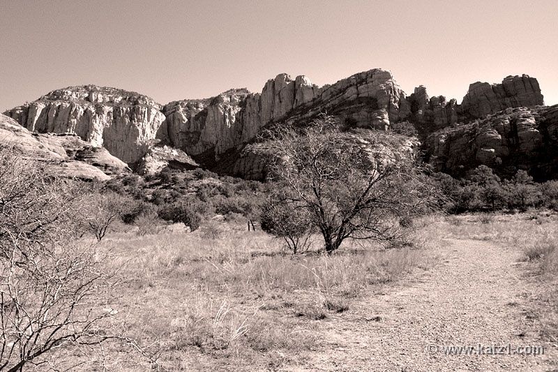  DSC1232 Sepia Crop